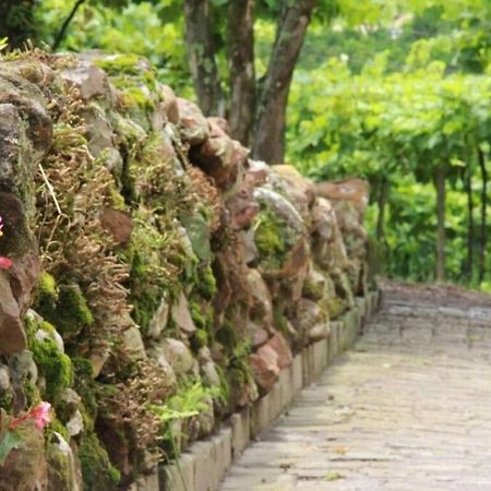 벤투곤살베스 Casa Vigneto Octavio No Vale Dos Vinhedos 빌라 외부 사진
