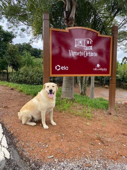 벤투곤살베스 Casa Vigneto Octavio No Vale Dos Vinhedos 빌라 외부 사진