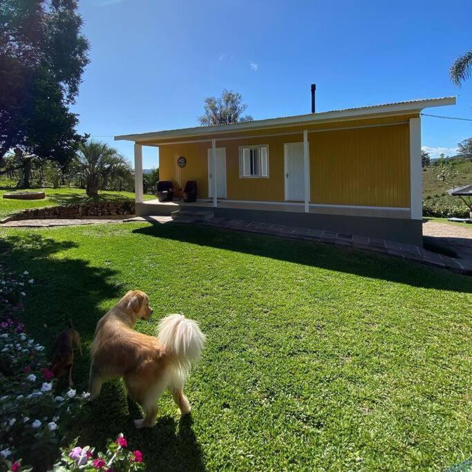 벤투곤살베스 Casa Vigneto Octavio No Vale Dos Vinhedos 빌라 외부 사진