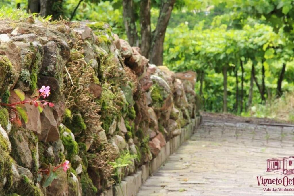 벤투곤살베스 Casa Vigneto Octavio No Vale Dos Vinhedos 빌라 외부 사진