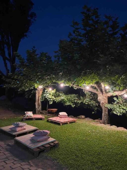 벤투곤살베스 Casa Vigneto Octavio No Vale Dos Vinhedos 빌라 외부 사진