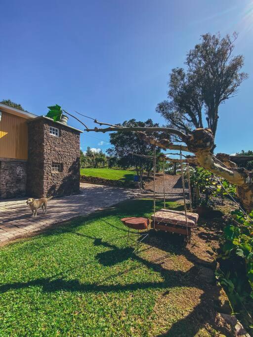 벤투곤살베스 Casa Vigneto Octavio No Vale Dos Vinhedos 빌라 외부 사진